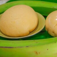 Plaintain Swallow